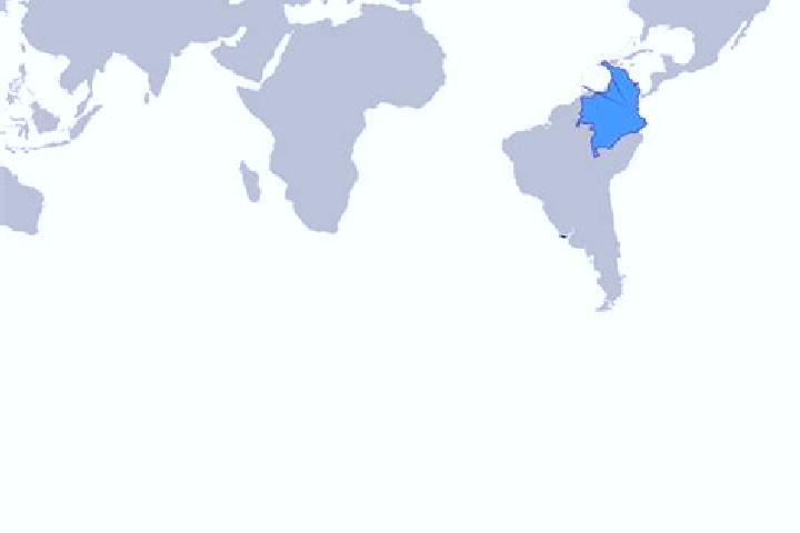 Escorts Caicedonia, Colombia — Local Companions