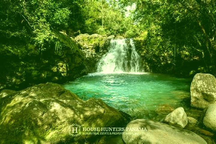 Escorts Caldera, Panama — Local Companions