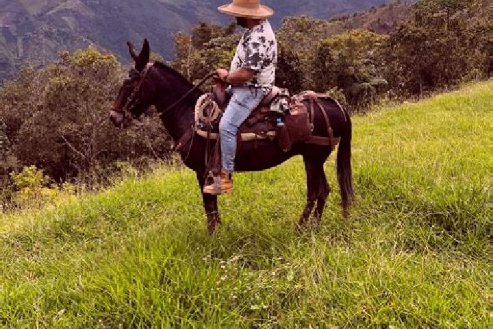 Escorts Calderon, Mexico — Local Companions
