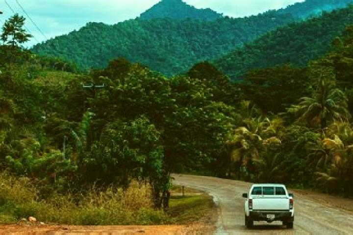 Escorts Callac Creek, Belize — Local Companions