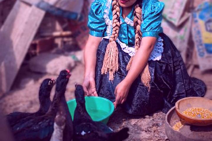 Escorts Callanca, Peru — Local Companions