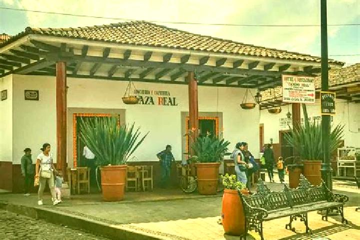 Escorts Callejon Santa Clara, Mexico — Local Companions