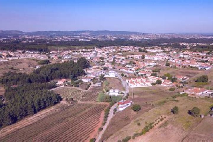 Escorts Calvaria de Cima, Portugal — Local Companions