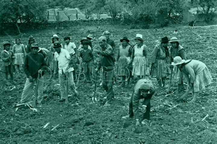Escorts Campesina el Mirador, Mexico — Local Companions