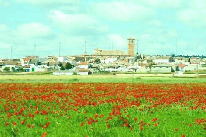 Escorts Campillo de Altobuey, Spain — Local Companions