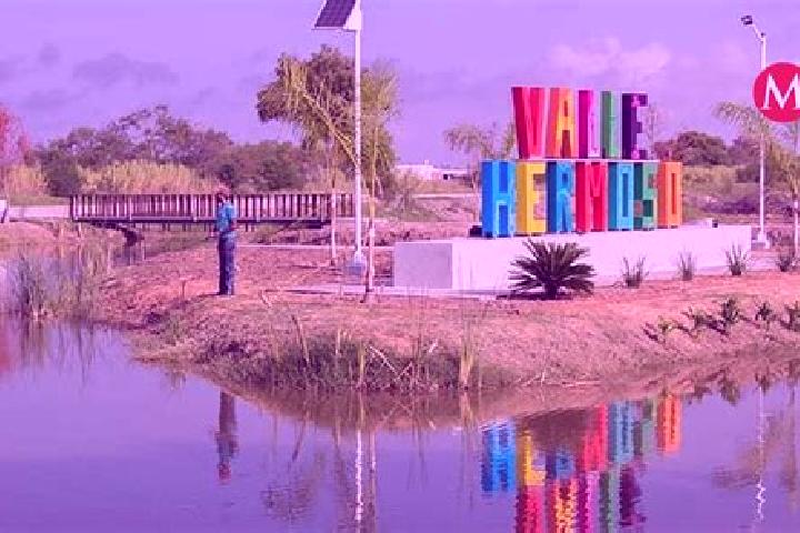 Escorts Campo Hermoso, Mexico — Local Companions