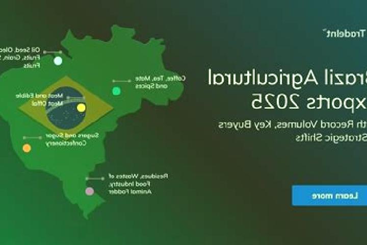 Escorts Campos Sales, Brazil — Local Companions