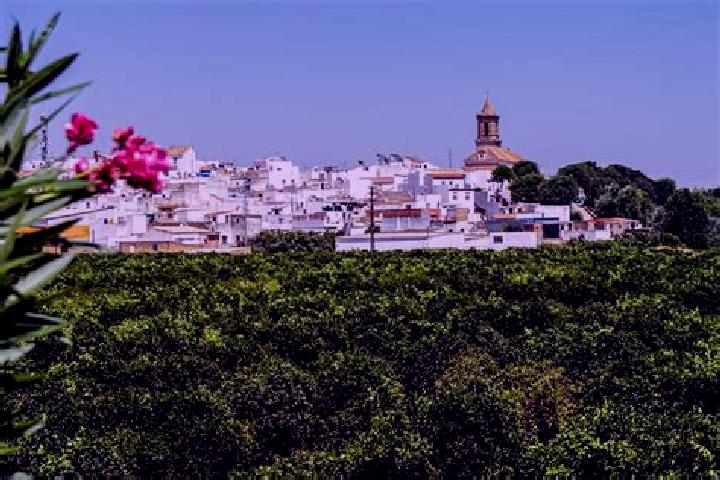 Escorts Cantillana, Spain — Local Companions