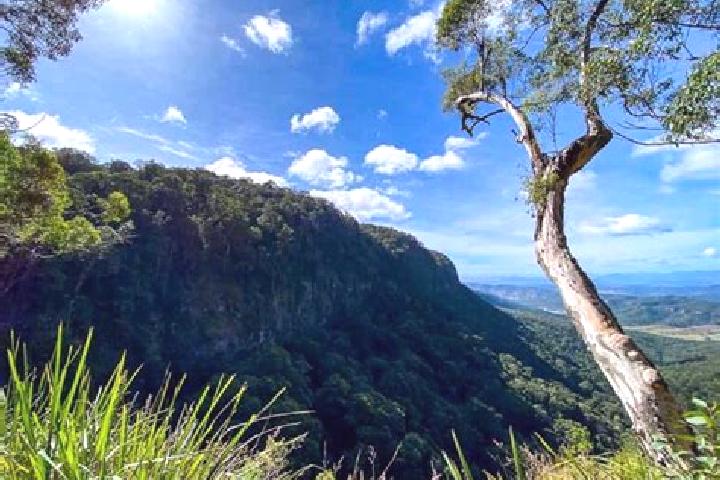 Escorts Canungra, Australia — Local Companions