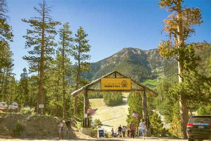 Escorts Canyon Day, United States — Local Companions