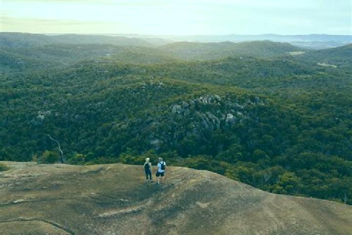 Escorts Capella, Australia — Local Companions