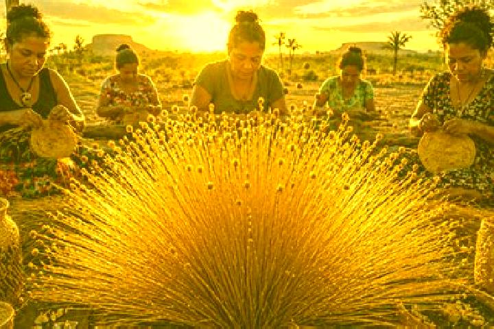 Escorts Capim, Brazil — Local Companions