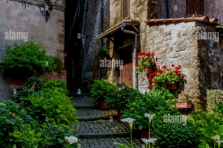 Escorts Capranica, Italy — Local Companions