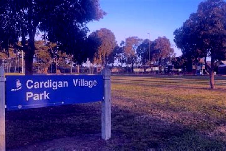 Escorts Cardigan Village, Australia — Local Companions
