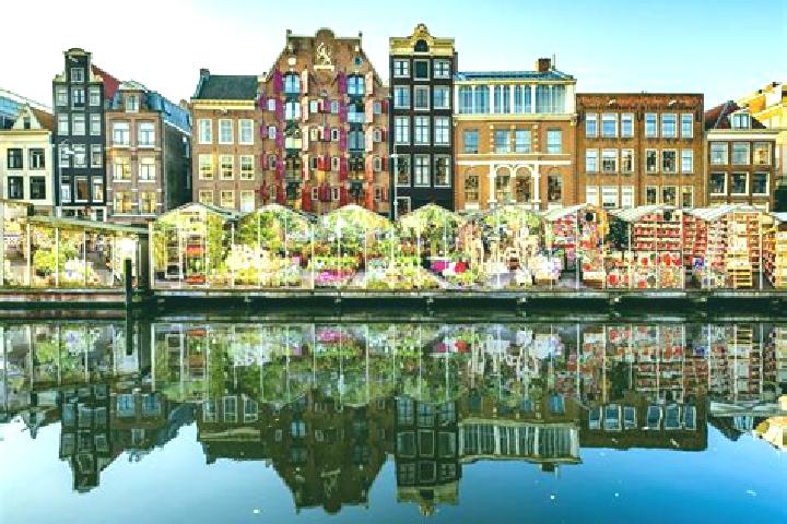 Escorts Carnisse, Netherlands — Local Companions
