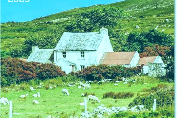Escorts Carrignavar, Ireland — Local Companions