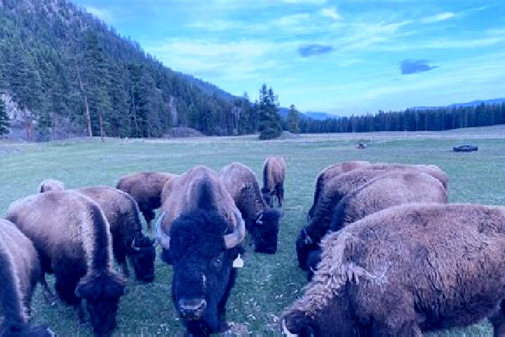 Escorts Carver Ranches, United States — Local Companions