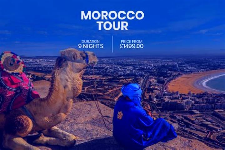 Escorts Casablanca, Morocco — Local Companions