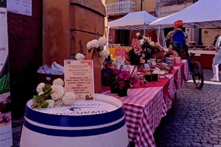 Escorts Castel Rocchero, Italy — Local Companions