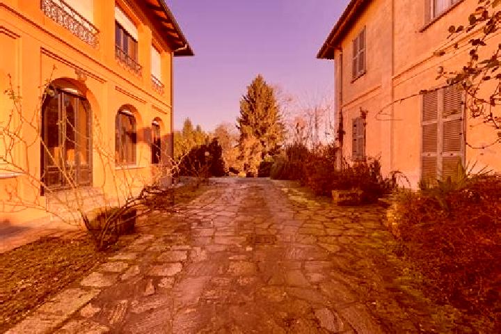 Escorts Castelletto Sopra Ticino, Italy — Local Companions