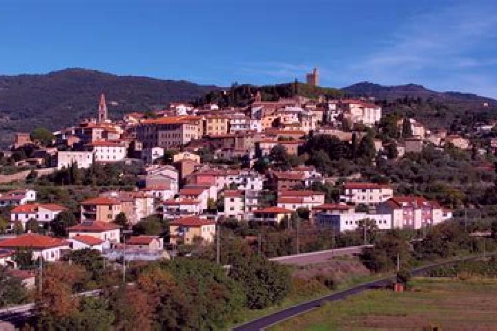 Escorts Castiglion Fiorentino, Italy — Local Companions