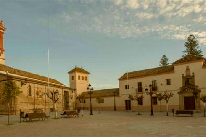 Escorts Castilleja de la Cuesta, Spain — Local Companions