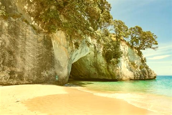 Escorts Castle Cove, Australia — Local Companions