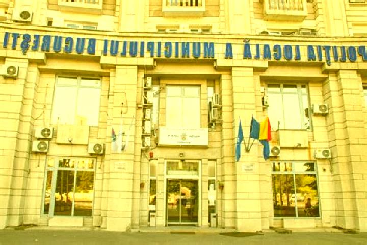 Escorts Catina, Romania — Local Companions