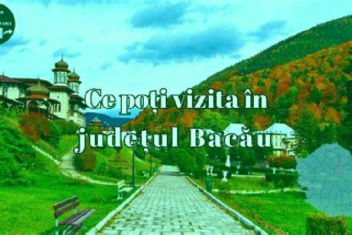 Escorts Cauia, Romania — Local Companions