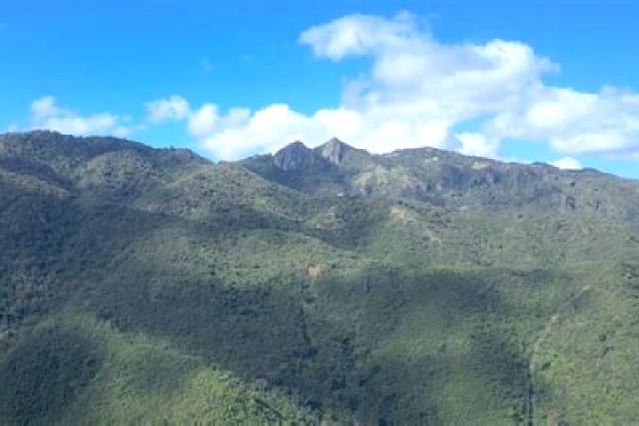 Escorts Cayey, Puerto Rico — Local Companions