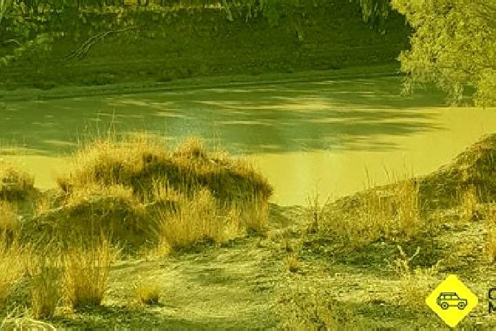 Escorts Cedar Creek, Australia — Local Companions