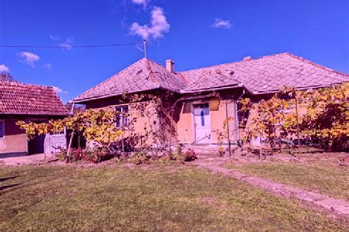 Escorts Cehal, Romania — Local Companions