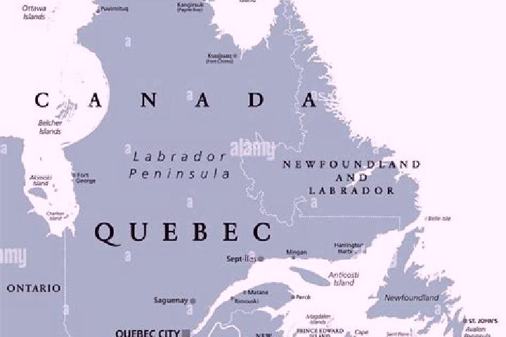 Escorts Central, Canada — Local Companions