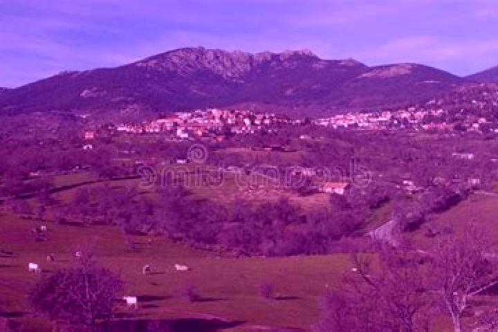 Escorts Cercedilla, Spain — Local Companions