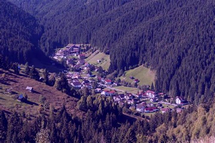 Escorts Cernelele de Sus, Romania — Local Companions