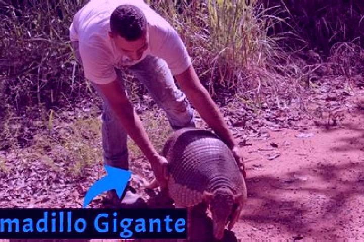 Escorts Cerro Armadillo Grande, Mexico — Local Companions