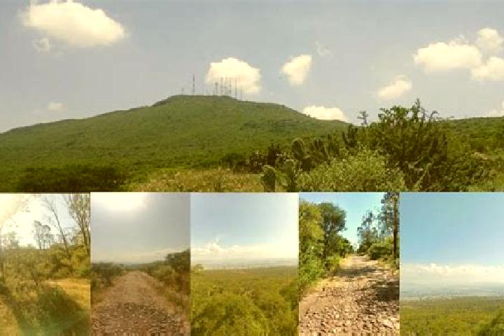 Escorts Cerro del Campo, Mexico — Local Companions