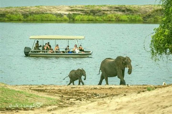 Escorts Chadibe, Botswana — Local Companions