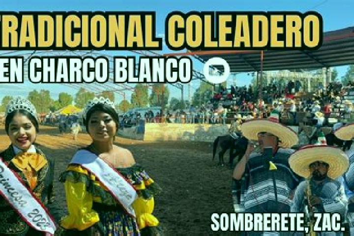 Escorts Charco Blanco, Mexico — Local Companions