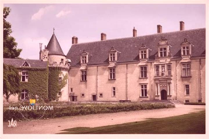 Escorts Chateau-Landon, France — Local Companions