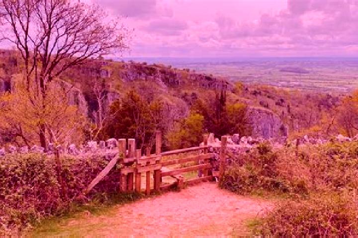 Escorts Cheddar, United Kingdom — Local Companions