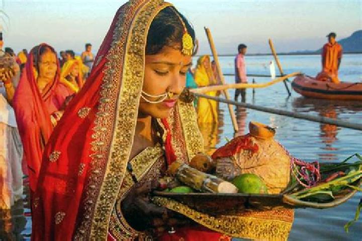 Escorts Chhatha, India — Local Companions