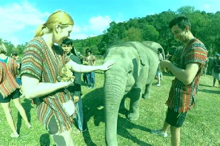 Escorts Chiang Mai, Thailand — Local Companions