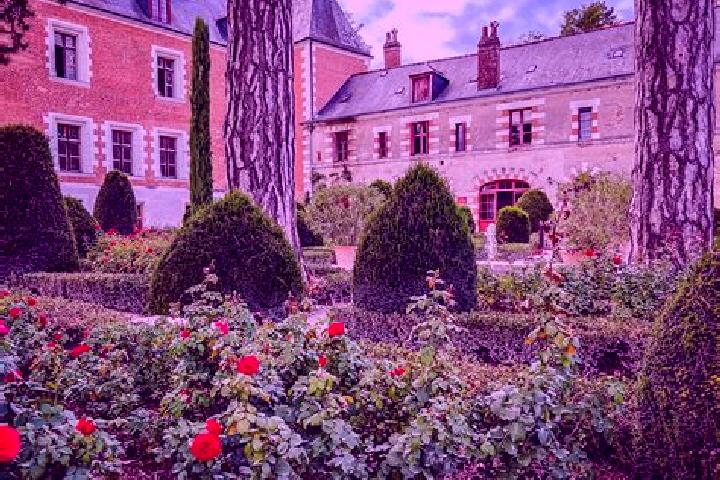 Escorts Chigny-les-Roses, France — Local Companions