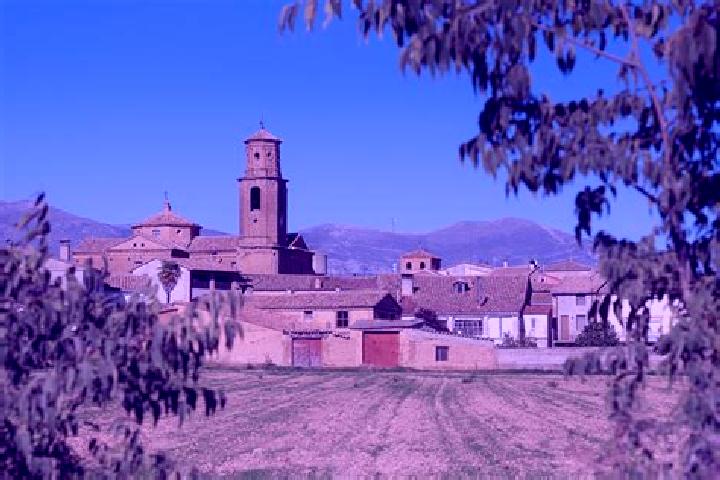 Escorts Chimillas, Spain — Local Companions