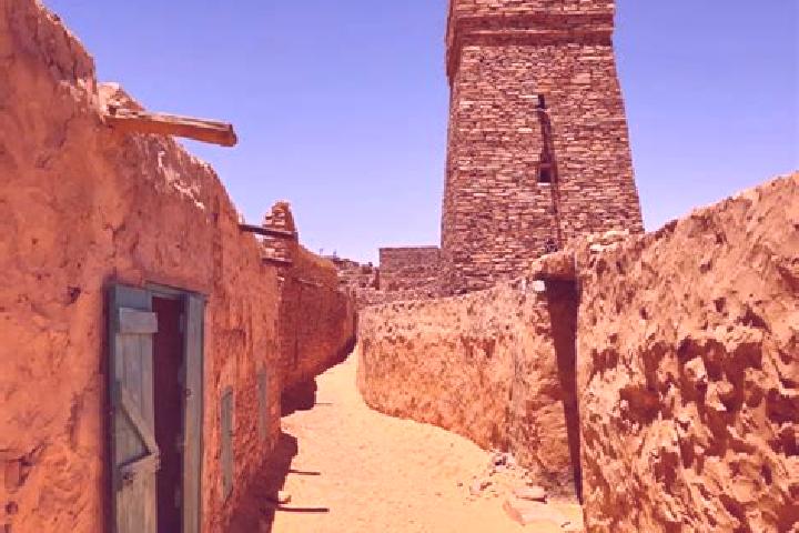 Escorts Chinguetti, Mauritania — Local Companions