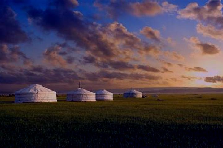 Escorts Chiri-Yurt, Russia — Local Companions