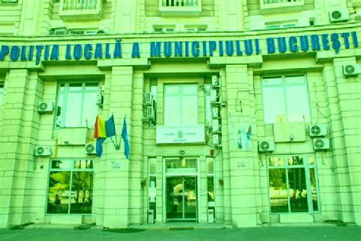 Escorts Chirnogeni, Romania — Local Companions