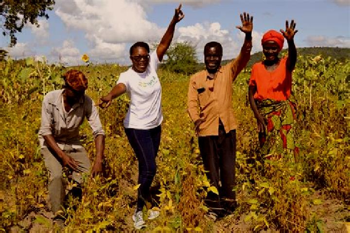 Escorts Chisasa, Zambia — Local Companions