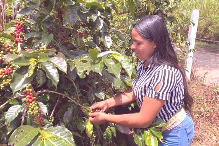 Escorts Chitaraque, Colombia — Local Companions